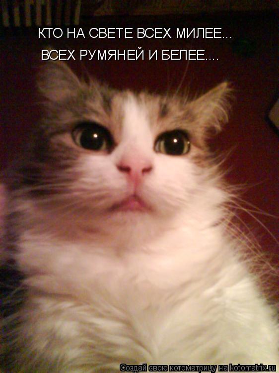 КТО НА СВЕТЕ ВСЕХ МИЛЕЕ... ВСЕХ РУМЯНЕЙ И БЕЛЕЕ....... Котоматрица: КТО НА СВЕТЕ ВСЕХ МИЛЕЕ... ВСЕХ РУМЯНЕЙ И БЕЛЕЕ....