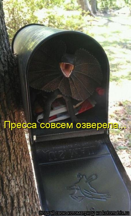 Пресса совсем озверела...... Котоматрица: Пресса совсем озверела...