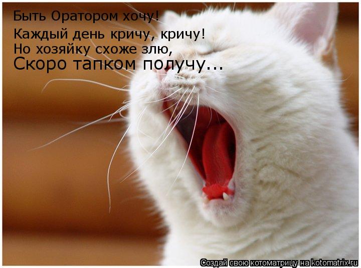Быть Оратором хочу! Каждый день кричу, кричу! Но хозяйку схоже злю, Скоро тапком получу...... Котоматрица: Быть Оратором хочу! Каждый день кричу, кричу! Но хозяйку схоже злю, Скоро тапком получу...
