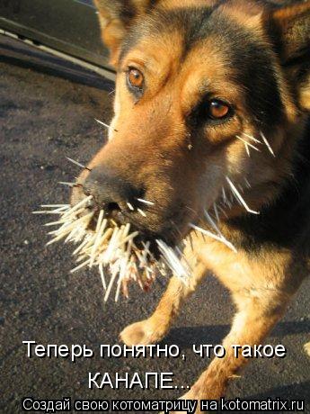Теперь понятно, что такое КАНАПЕ...... Котоматрица: Теперь понятно, что такое КАНАПЕ...