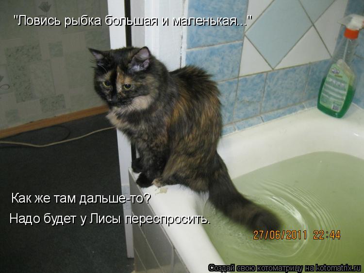 "Ловись рыбка большая и маленькая..." Как же там дальше-то? Надо будет у Лисы переспросить.... Котоматрица: "Ловись рыбка большая и маленькая..." Как же там дальше-то? Надо будет у Лисы переспросить.