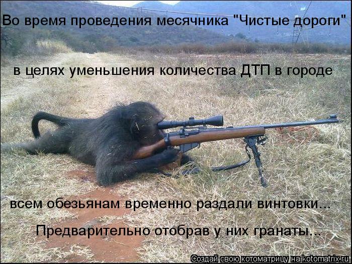 Во время проведения месячника "Чистые дороги" в целях уменьшения количества ДТП в городе всем обезьян... Котоматрица: Во время проведения месячника "Чистые дороги" в целях уменьшения количества ДТП в городе всем обезьянам временно раздали винтовки... Предва