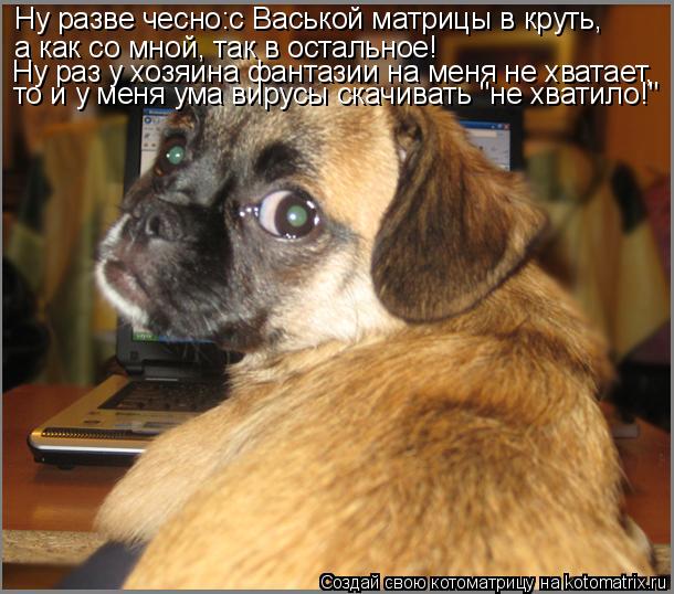 Ну разве чесно:с Васькой матрицы в круть, а как со мной, так в остальное! Ну раз у хозяина фантазии н... Котоматрица: Ну разве чесно:с Васькой матрицы в круть, а как со мной, так в остальное! Ну раз у хозяина фантазии на меня не хватает, то и у меня ума вирусы с