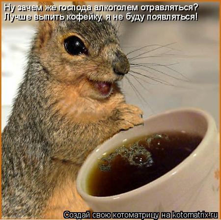 Ну зачем же господа алкоголем отравляться? Лучше выпить кофейку, я не буду появляться!... Котоматрица: Ну зачем же господа алкоголем отравляться? Лучше выпить кофейку, я не буду появляться!