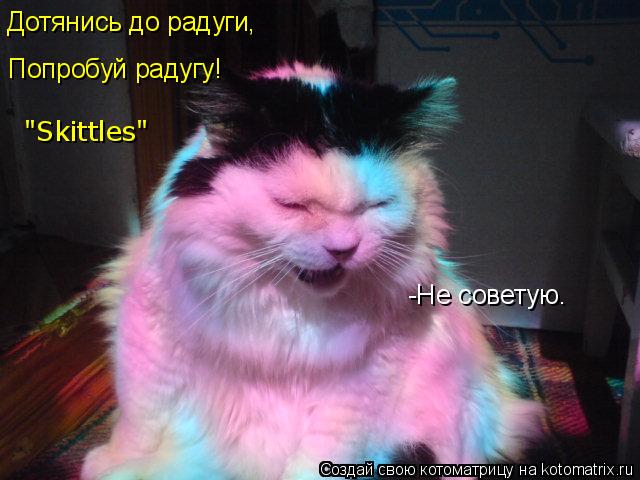 Дотянись до радуги, Попробуй радугу! "Skittles" -Не советую.... Котоматрица: Дотянись до радуги, Попробуй радугу! "Skittles" -Не советую.