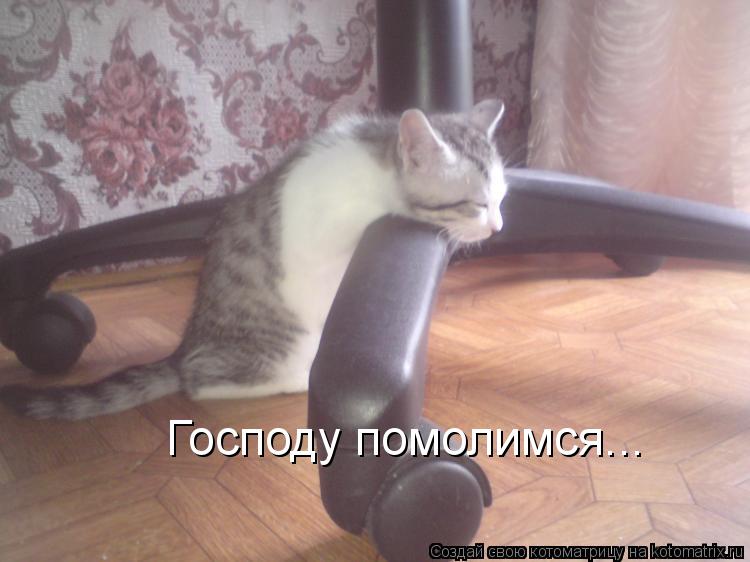 Господу помолимся...... Котоматрица: Господу помолимся...