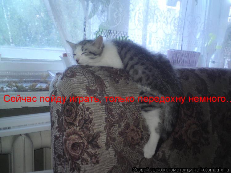 Сейчас пойду играть, только передохну немного...... Котоматрица: Сейчас пойду играть, только передохну немного...
