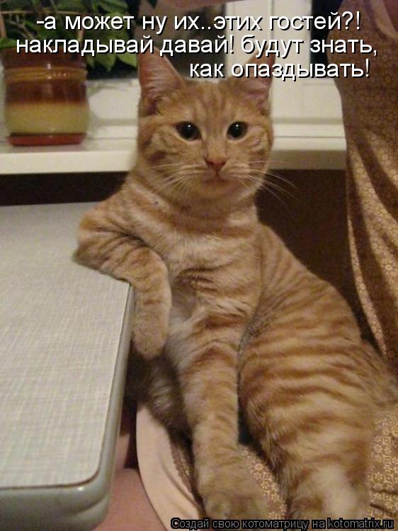 -а может ну их..этих гостей?! накладывай давай! будут знать, как опаздывать!... Котоматрица: -а может ну их..этих гостей?! накладывай давай! будут знать, как опаздывать!