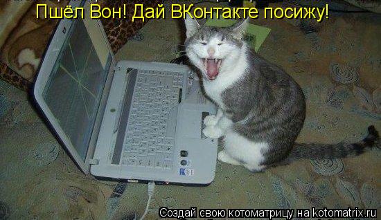 Пшёл Вон! Дай ВКонтакте посижу!... Котоматрица: Пшёл Вон! Дай ВКонтакте посижу!