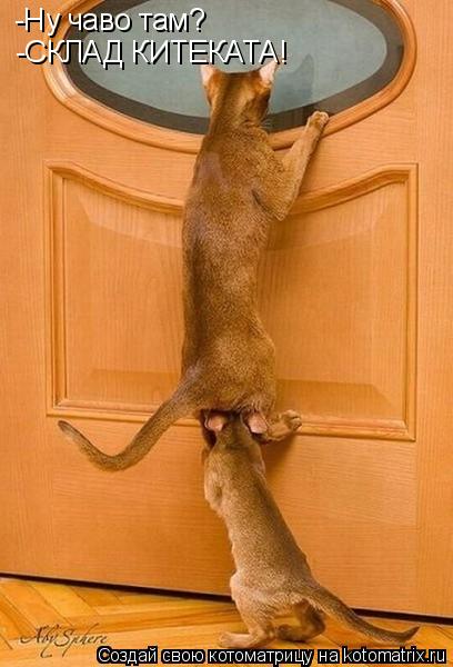 -Ну чаво там? -Ну чаво там? СКЛАД КИТЕКАТА! -СКЛАД КИТЕКАТА!... Котоматрица: -Ну чаво там? -Ну чаво там? СКЛАД КИТЕКАТА! -СКЛАД КИТЕКАТА!