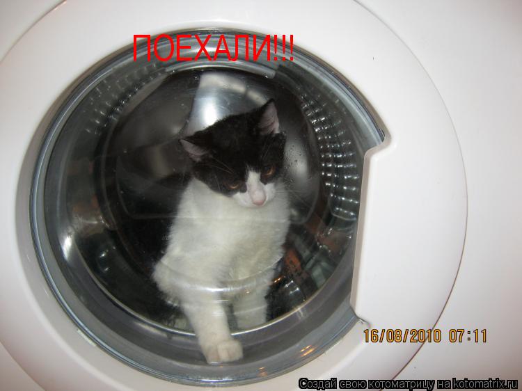 ПОЕХАЛИ!!!... Котоматрица: ПОЕХАЛИ!!!