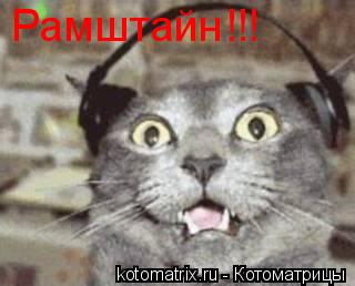 Котоматрица: Рамштайн!!!