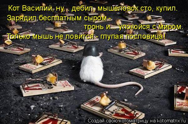 Котоматрица: Кот Василий, ну... дебил, мышеловок сто. купил.   Кот Василий, ну... дебил, мышеловок сто, купил.   Зарядил бесплатным сыром -   тронь и... упокойся с