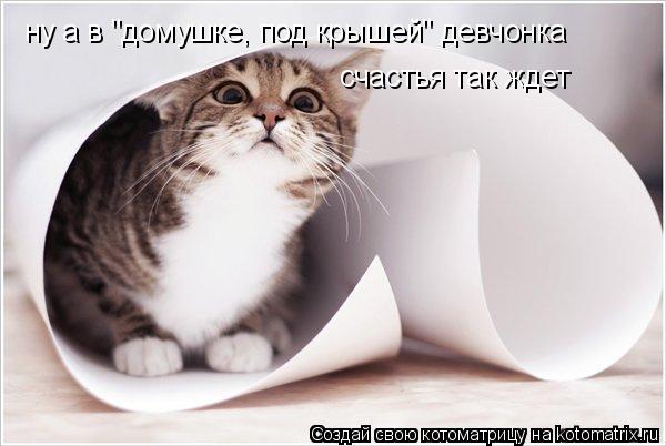 ну а в "домушке, под крышей" девчонка счастья так ждет... Котоматрица: ну а в "домушке, под крышей" девчонка счастья так ждет