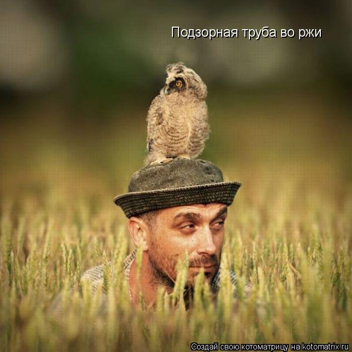 Подзорная труба во ржи... Котоматрица: Подзорная труба во ржи