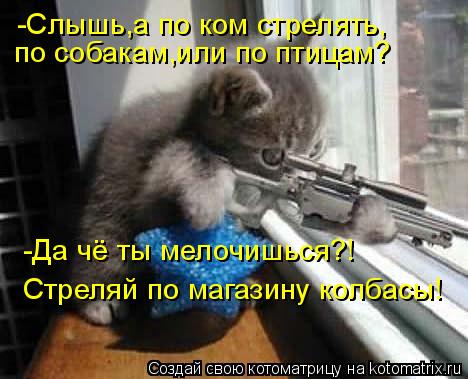 -Слышь,а по ком стрелять, по собакам,или по птицам? -Да чё ты мелочишься?! Стреляй по магазину колба... Котоматрица: -Слышь,а по ком стрелять, по собакам,или по птицам? -Да чё ты мелочишься?! Стреляй по магазину колбасы!