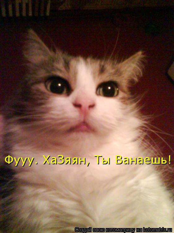 Фууу. ХаЗяян, Ты Ванаешь!... Котоматрица: Фууу. ХаЗяян, Ты Ванаешь!