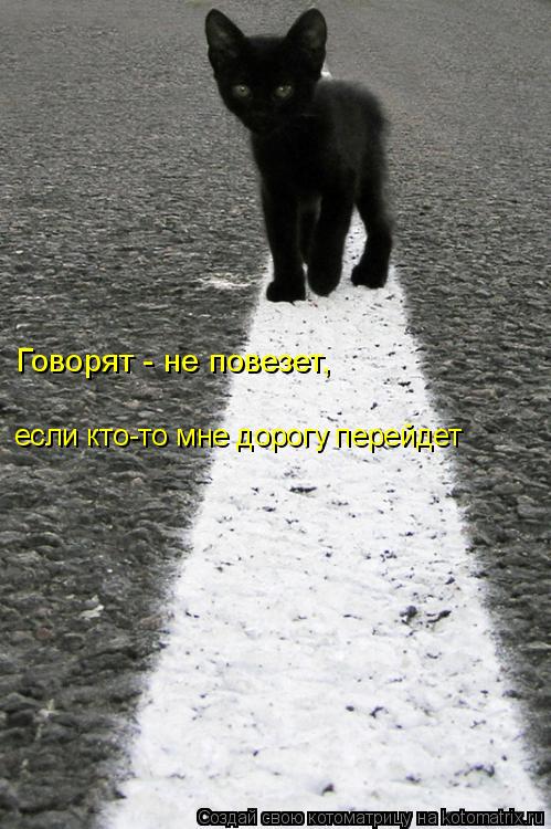 Говорят - не повезет, если кто-то мне дорогу перейдет... Котоматрица: Говорят - не повезет, если кто-то мне дорогу перейдет