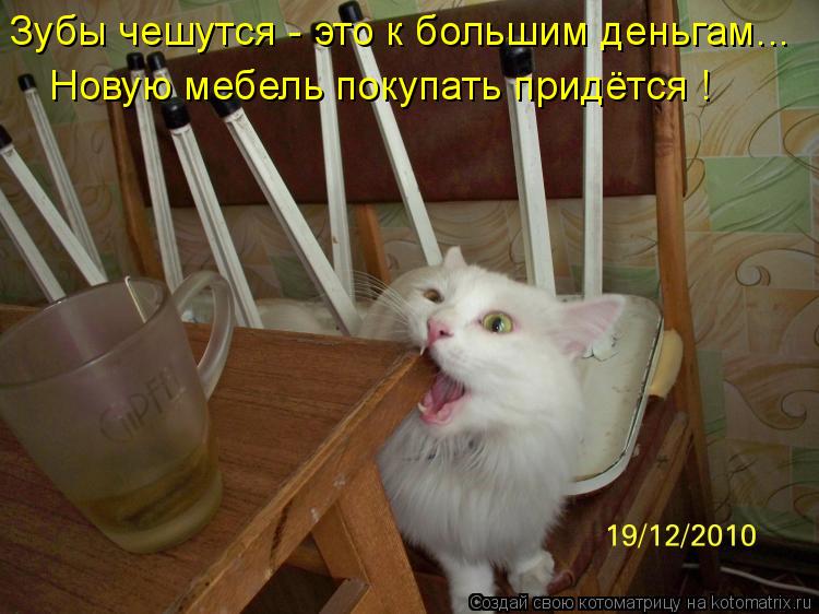 Новую мебель покупать придётся ! Зубы чешутся - это к большим деньгам...... Котоматрица: Новую мебель покупать придётся ! Зубы чешутся - это к большим деньгам...