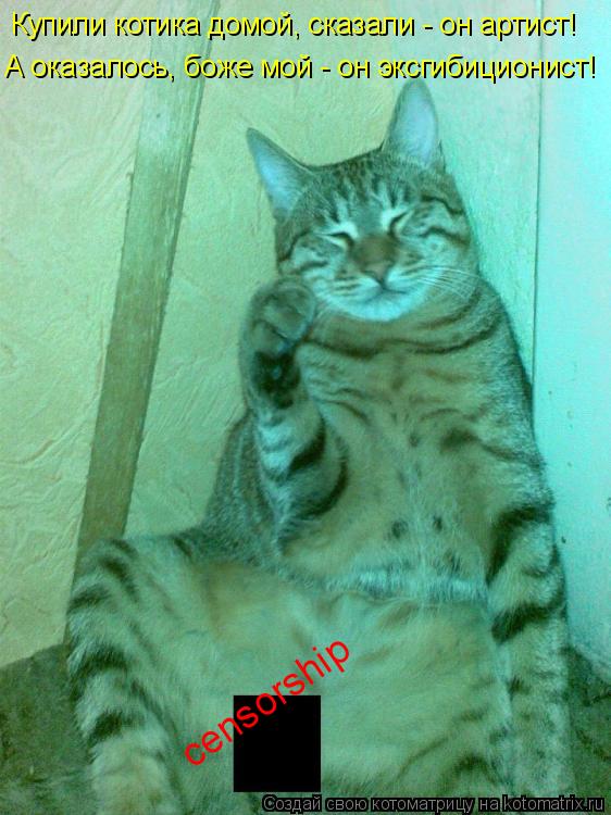 Купили котика домой, сказали - он артист! А оказалось, боже мой - он эксгибиционист! censorship... Котоматрица: Купили котика домой, сказали - он артист! А оказалось, боже мой - он эксгибиционист! censorship
