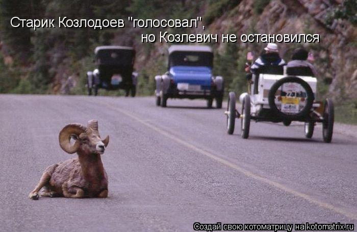 Старик Козлодоев "голосовал", но Козлевич не остановился... Котоматрица: Старик Козлодоев "голосовал", но Козлевич не остановился