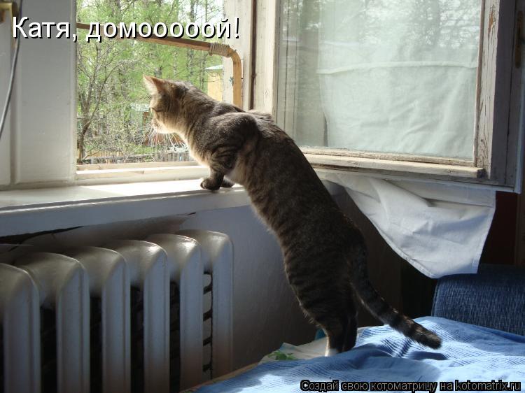 Катя, домооооой!... Котоматрица: Катя, домооооой!