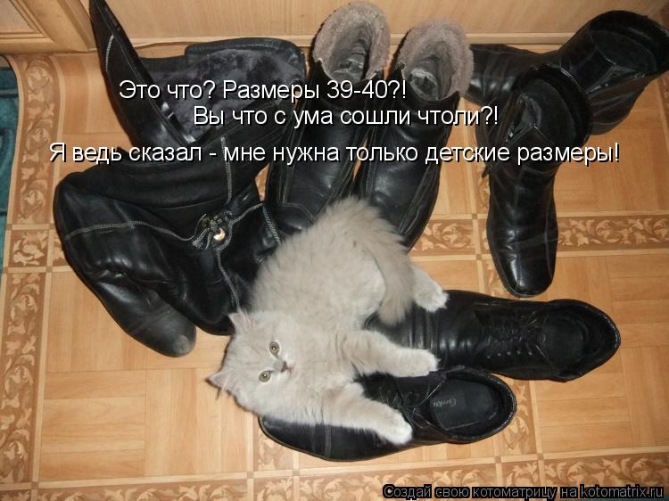 Это что? Размеры 39-40?! Вы что с ума сошли чтоли?! Я ведь сказал - мне нужна только детские размеры... Котоматрица: Это что? Размеры 39-40?! Вы что с ума сошли чтоли?! Я ведь сказал - мне нужна только детские размеры!