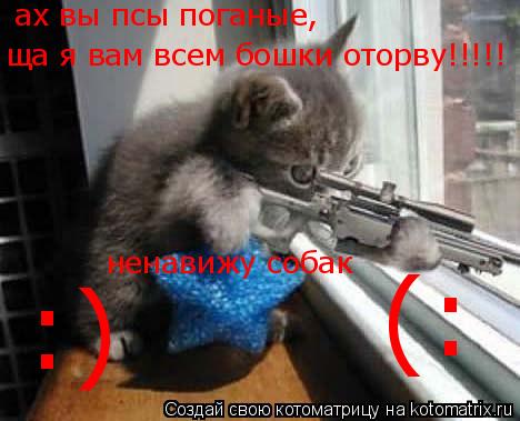 ненавижу собак ах вы псы поганые, ща я вам всем бошки оторву!!!!! (: :)... Котоматрица: ненавижу собак ах вы псы поганые, ща я вам всем бошки оторву!!!!! (: :)