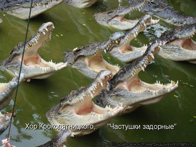 Хор Крокодятницкого, "Частушки задорные"... Котоматрица: Хор Крокодятницкого, "Частушки задорные"