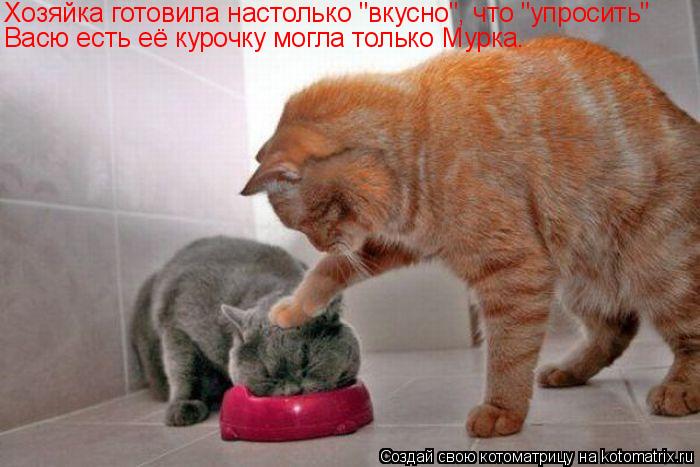 Васю есть её курочку могла только Мурка. Хозяйка готовила настолько "вкусно", что "упросить"... Котоматрица: Васю есть её курочку могла только Мурка. Хозяйка готовила настолько "вкусно", что "упросить"