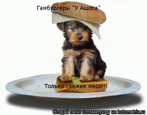 Гамбургеры "У Ашота" Только свежее мясо!!!... Котоматрица: Гамбургеры "У Ашота" Только свежее мясо!!!