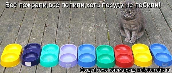 Всё пожрали,всё попили,хоть посуду не побили!... Котоматрица: Всё пожрали,всё попили,хоть посуду не побили!