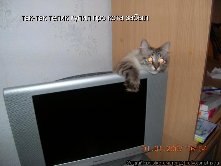 так-так телик купил про кота забыл... Котоматрица: так-так телик купил про кота забыл
