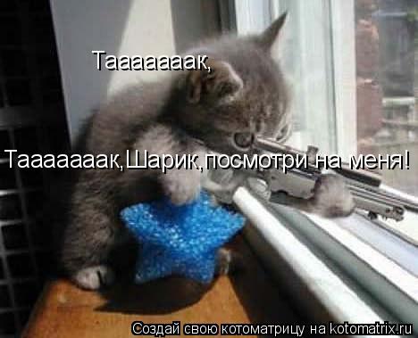 Тааааааак, Тааааааак,Шарик,посмотри на меня!... Котоматрица: Тааааааак, Тааааааак,Шарик,посмотри на меня!