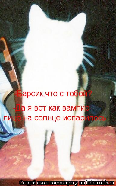 -Барсик,что с тобой? -Да я вот как вампир лицо на солнце испарилось... Котоматрица: -Барсик,что с тобой? -Да я вот как вампир лицо на солнце испарилось