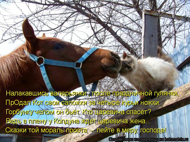 Сказки той мораль проста - пейте в меру, господа! Горбунку челом он бьёт. Кто царевича спасёт? Нала... Котоматрица: Сказки той мораль проста - пейте в меру, господа! Горбунку челом он бьёт. Кто царевича спасёт? Налакавшись валерьянки , после праздничной гу