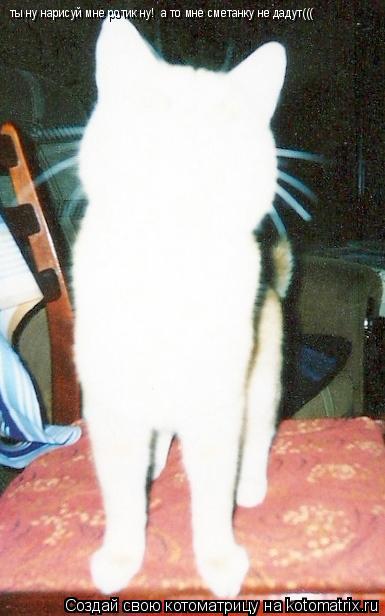 ты ну нарисуй мне ротик ну! а то мне сметанку не дадут(((... Котоматрица: ты ну нарисуй мне ротик ну! а то мне сметанку не дадут(((