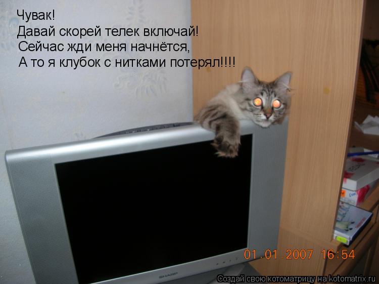 Чувак! Давай скорей телек включай! Сейчас жди меня начнётся, А то я клубок с нитками потерял!!!!... Котоматрица: Чувак! Давай скорей телек включай! Сейчас жди меня начнётся, А то я клубок с нитками потерял!!!!
