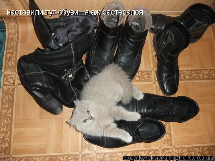 наставили тут обуви, я аж растерался...... Котоматрица: наставили тут обуви, я аж растерался...