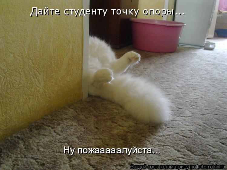 Дайте студенту точку опоры... Ну пожааааалуйста...... Котоматрица: Дайте студенту точку опоры... Ну пожааааалуйста...