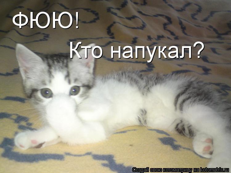 ФЮЮ! Кто напукал?... Котоматрица: ФЮЮ! Кто напукал?