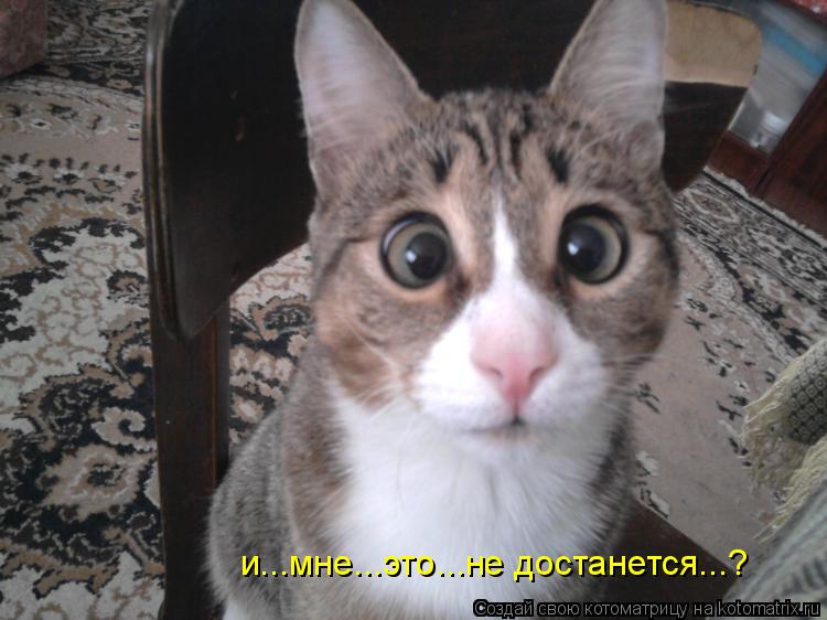 и...мне...это...не достанется...?... Котоматрица: и...мне...это...не достанется...?