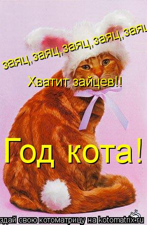 заяц,заяц,заяц,заяц,заяц.... Хватит зайцев!! Год кота!!... Котоматрица: заяц,заяц,заяц,заяц,заяц.... Хватит зайцев!! Год кота!!