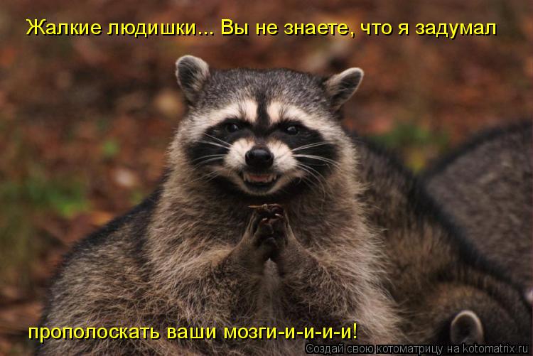 Жалкие людишки... Вы не знаете, что я задумал прополоскать ваши мозги-и-и-и-и!... Котоматрица: Жалкие людишки... Вы не знаете, что я задумал прополоскать ваши мозги-и-и-и-и!