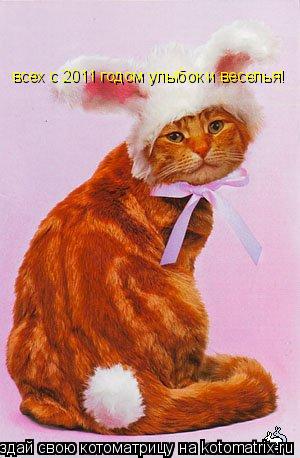 всех с 2011 годом улыбок и веселья!... Котоматрица: всех с 2011 годом улыбок и веселья!