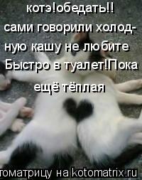 котэ!обедать!! сами говорили холод- ную кашу не любите Быстро в туалет!Пока ещё тёплая... Котоматрица: котэ!обедать!! сами говорили холод- ную кашу не любите Быстро в туалет!Пока ещё тёплая