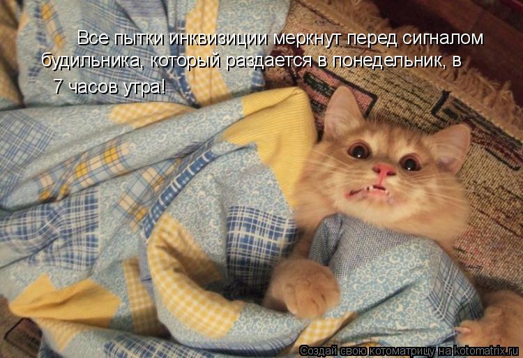 Все пытки инквизиции меркнут перед сигналом будильника, который раздается в понедельник, в 7 часов ут... Котоматрица: Все пытки инквизиции меркнут перед сигналом будильника, который раздается в понедельник, в 7 часов утра!