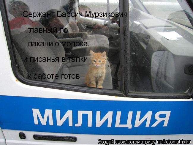 Сержант Барсик Мурзикович главный по лаканию молока и писанья в тапки к работе готов... Котоматрица: Сержант Барсик Мурзикович главный по лаканию молока и писанья в тапки к работе готов