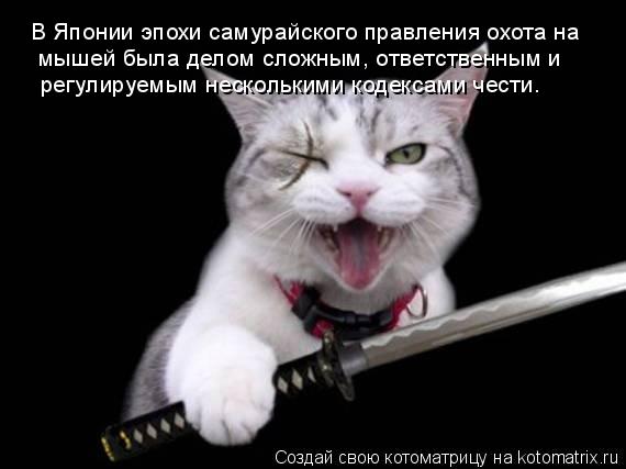 В Японии эпохи самурайского правления охота на мышей была делом сложным, ответственным и регулируем... Котоматрица: В Японии эпохи самурайского правления охота на мышей была делом сложным, ответственным и регулируемым несколькими кодексами чести.