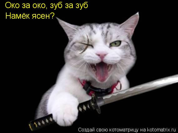 Око за око, зуб за зуб Намёк ясен?... Котоматрица: Око за око, зуб за зуб Намёк ясен?